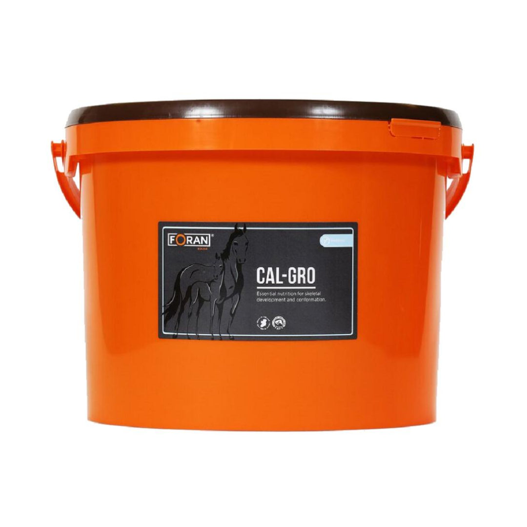 <h6 style="text-align:left;"><span style="font-size:10pt;font-family:'Arial Unicode MS', sans-serif;background:#FFFFFF;">Support the mare and developing foal with this powder calcium and phosphorus supplement with MSM, amino acids, copper and vitamin E for optimum bone growth </span></h6>