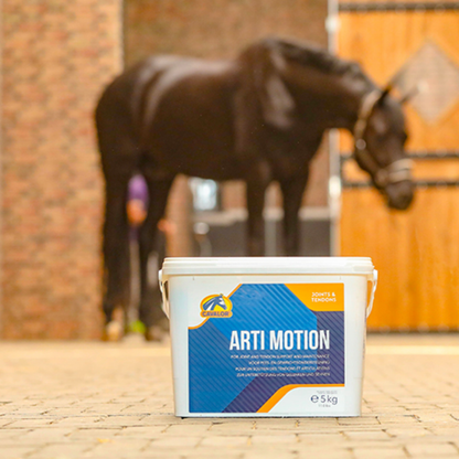 Arti Motion Cavalor 2 Kg