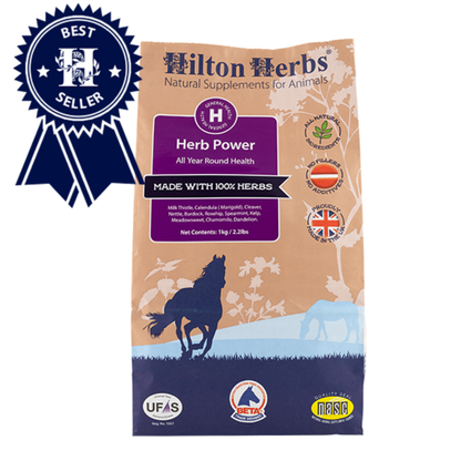 Herb Power Hilton Herbs 1 Kg Bag