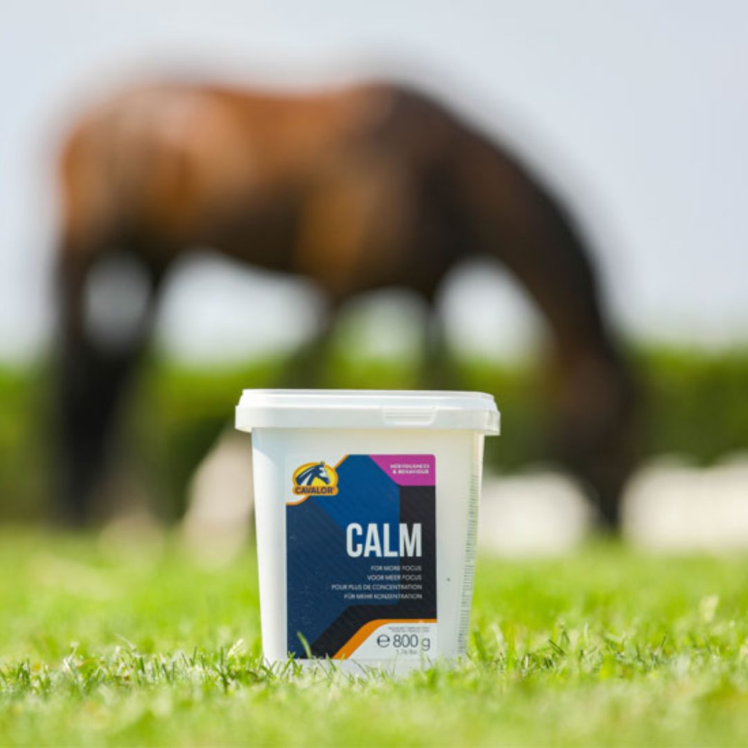 Calm Cavalor