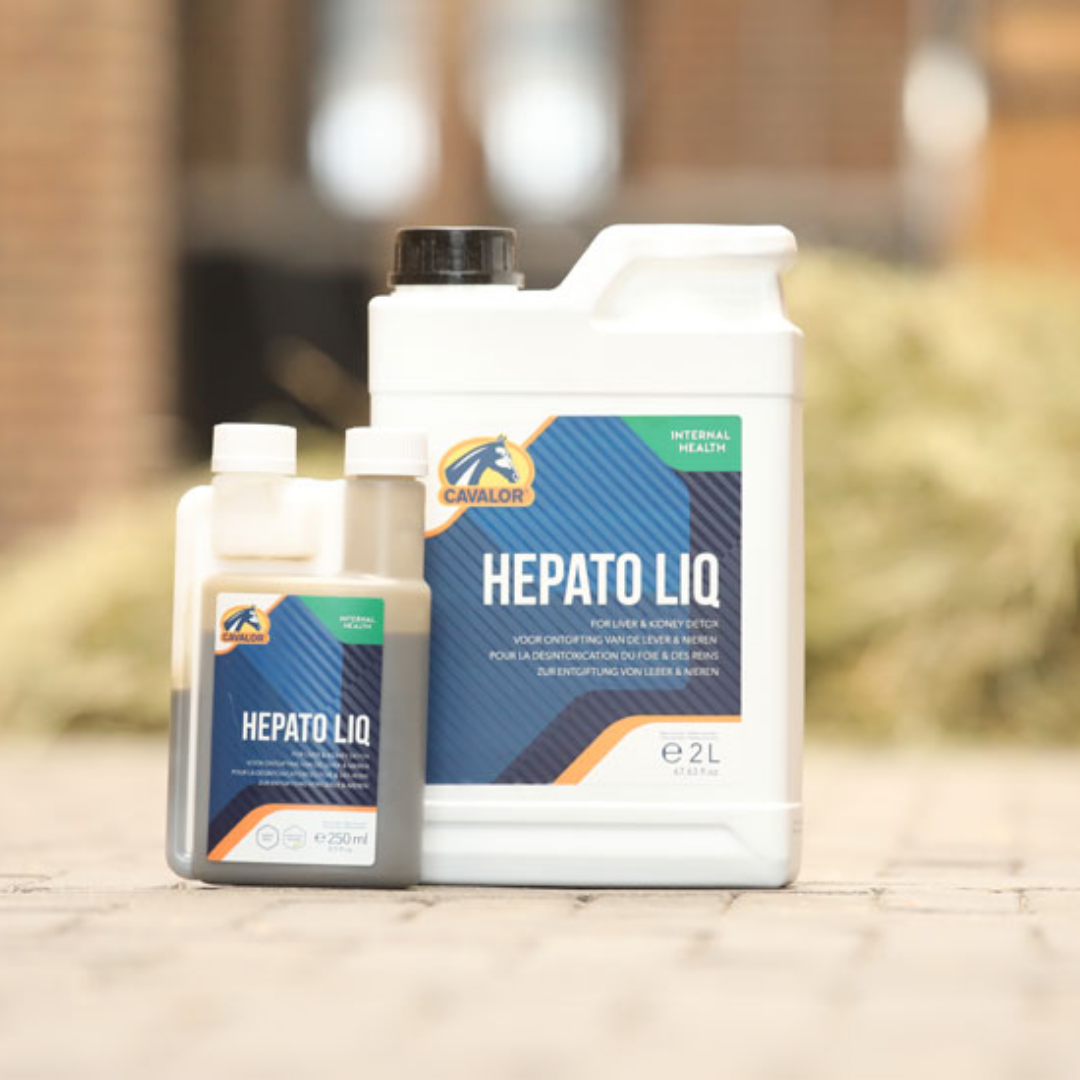 Hepato Liquid Cavalor