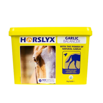 Horslyx Garlic