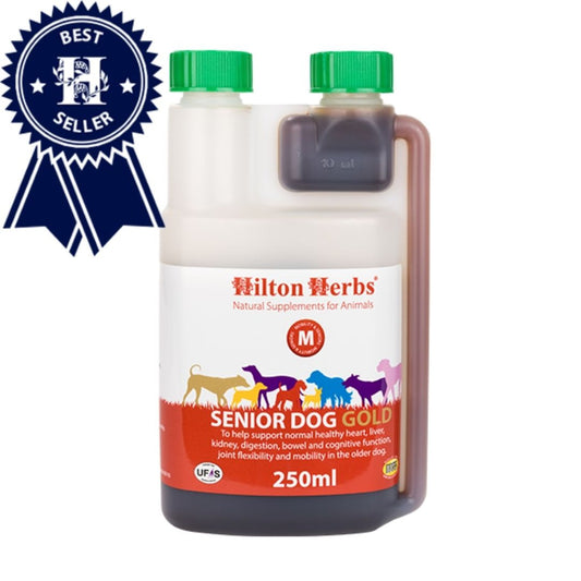 <h6 style="text-align:left;"><span style="font-size:10pt;font-family:'Arial Unicode MS', sans-serif;background:#FFFFFF;">Fast acting liquid Support for Older Dogs. Formulated to support: Supple Joints, A healthy heart, liver, kidneys, digestion and bowel; and Cognitive function.</span></h6>