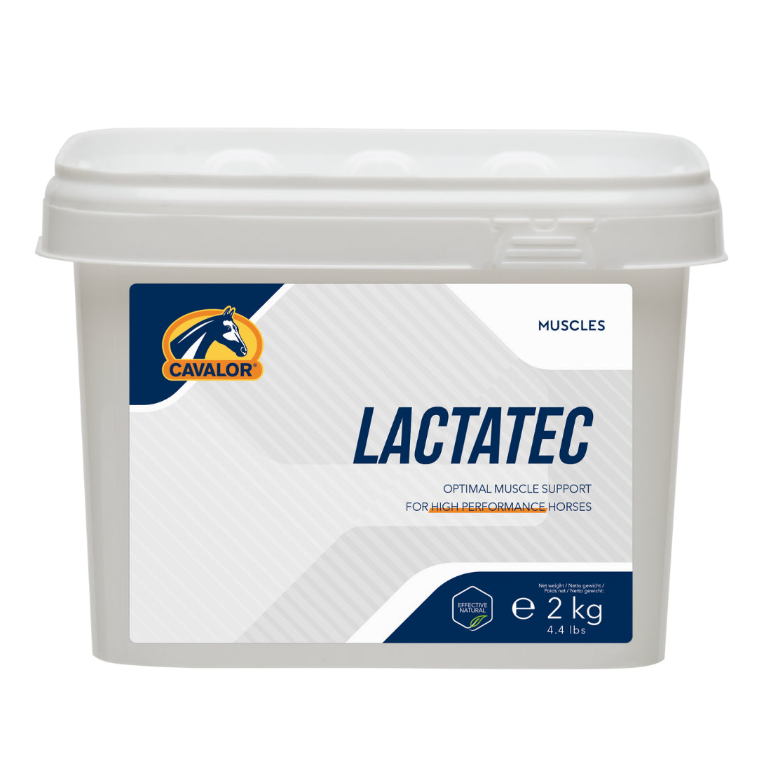 <h6 style="text-align:left;"><span style="font-size:10pt;font-family:'Arial Unicode MS', sans-serif;background:#FFFFFF;">Powdered supplement to support muscle recovery and prevent stiff muscles</span></h6>
<p></p>