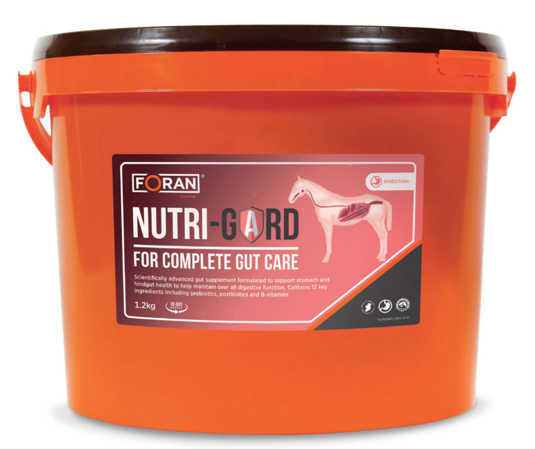 <h6 style="text-align:left;"><span style="font-size:10pt;font-family:'Arial Unicode MS', sans-serif;background:#FFFFFF;">Powdered supplement that provides gastric health support through an enhanced prebiotic, highly digestible fibres and B vitamins to promote appetite</span></h6>