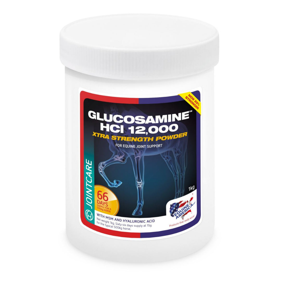 <h6 style="text-align:left;"><span style="font-size:10pt;font-family:'Arial Unicode MS', sans-serif;background:#FFFFFF;">Potent powdered combination of Glucosamine, MSM and Hyaluronic acid providing great value joint and mobility support for all horses and ponies.</span></h6>